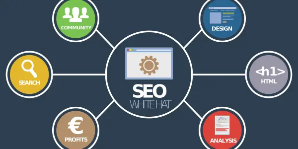 أساسيات تحسين محركات البحث (SEO) لزيادة ظهور موقعك في نتائج البحث لعام 2025