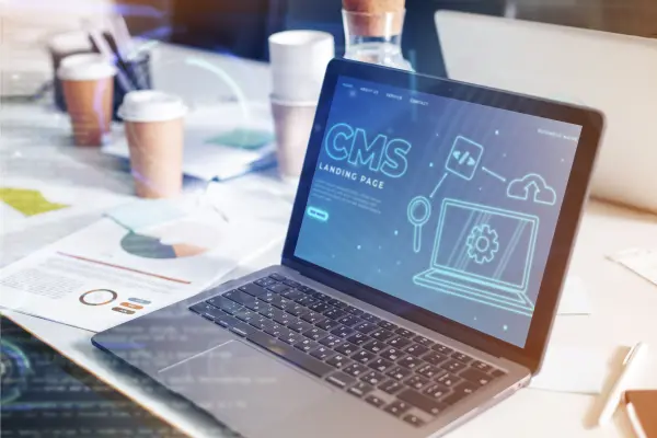 أنظمة إدارة المحتوى (CMS)